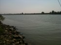 0_2527038_12965.jpg